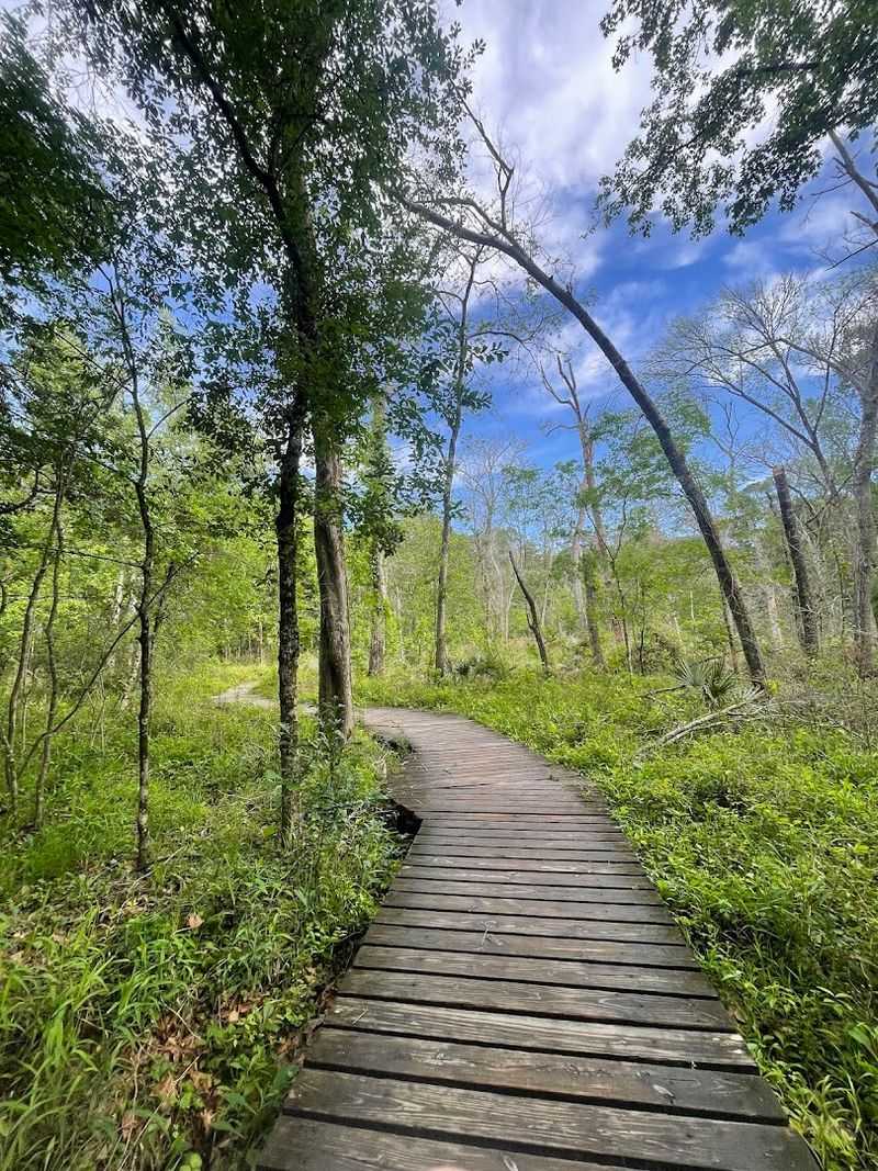 The Chinquapin Trail, A Six-Mile Loop That Circles the Whole Lake The Chinquapin Trail, A Six-Mile Loop That Circles the Whole Lake
