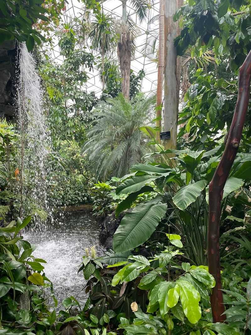 The Climatron Feels Like Another Planet The Climatron Feels Like Another Planet