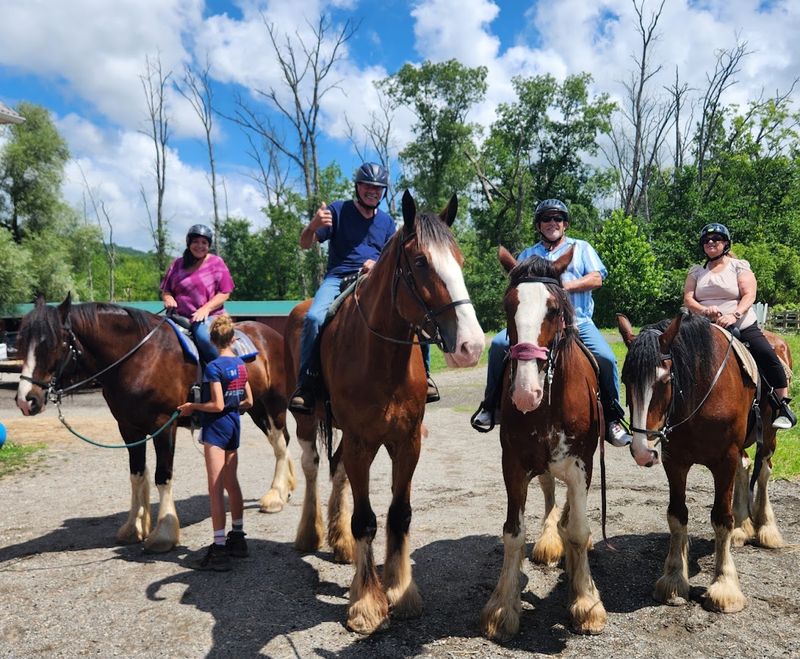 The Clydesdale Horses That Will Leave You Speechless The Clydesdale Horses That Will Leave You Speechless