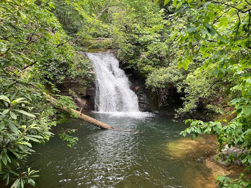 The Cold That Hits Different: Swimming in Mountain Water The Cold That Hits Different: Swimming in Mountain Water