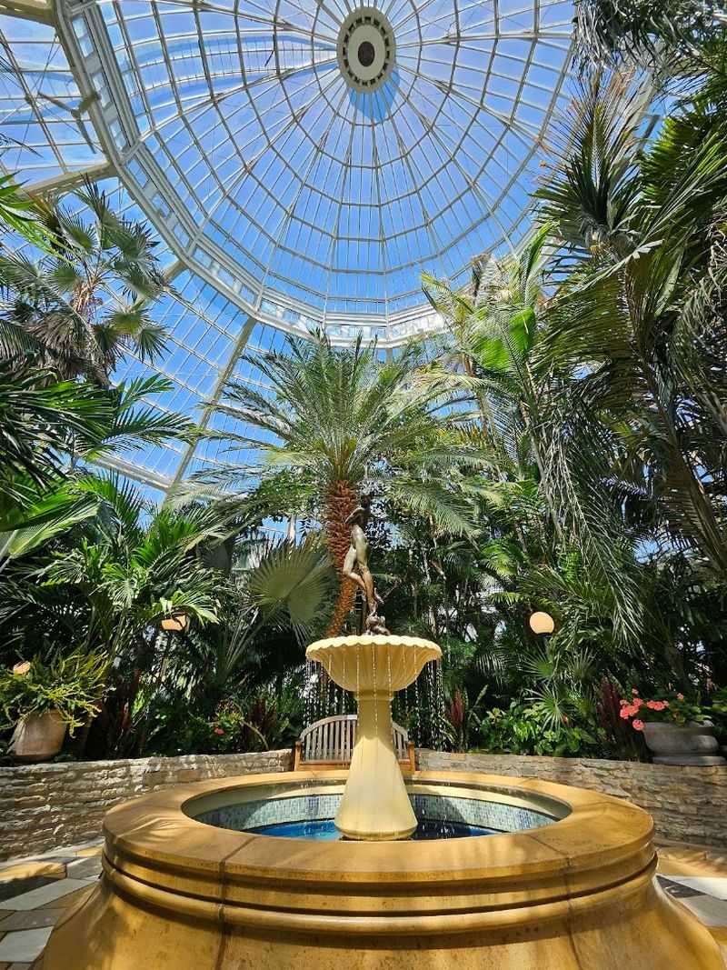 The Conservatory, an Indoor Tropical World Unlike Anything Else
