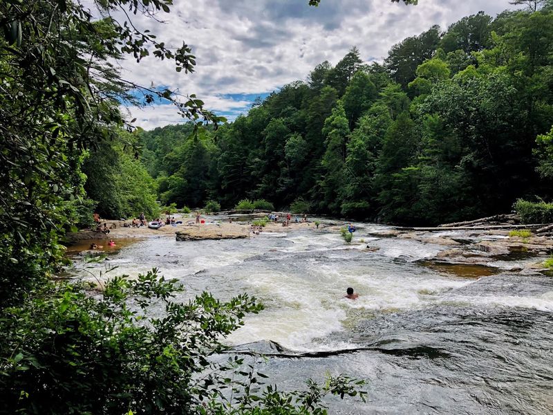 The Creek's Wild Beauty Beyond the Slides The Creek's Wild Beauty Beyond the Slides