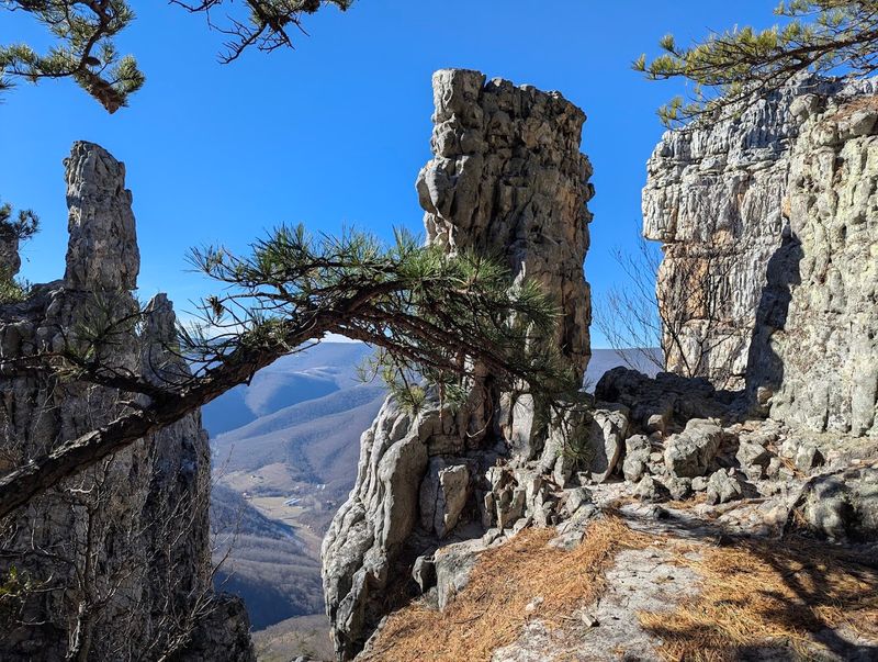 The Crown Jewel of the Ridge