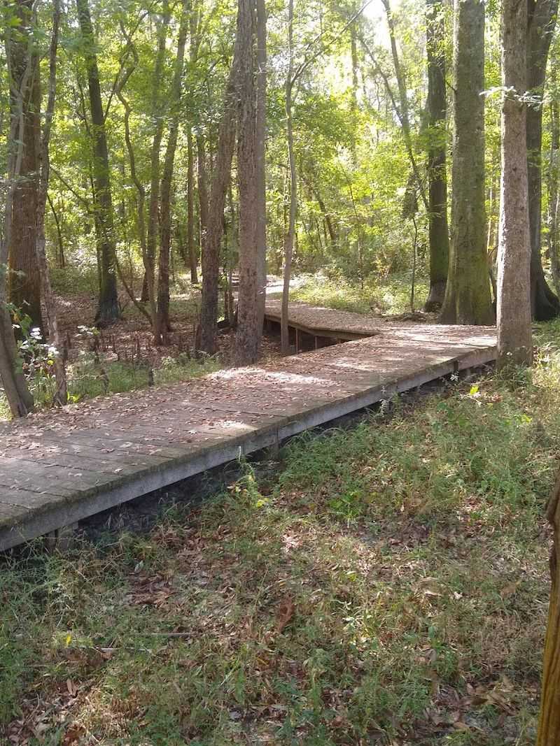 The Cypress Swamp Nature Trail and What Lives Along It The Cypress Swamp Nature Trail and What Lives Along It