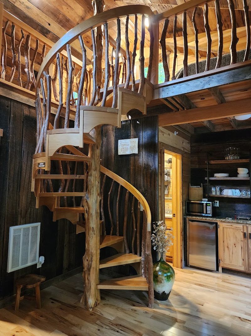 The DayDreamer, the Tallest Treehouse and the Most Accessible One