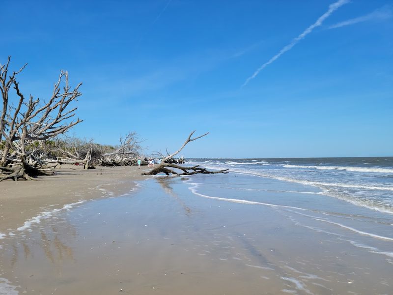 The Deep History Buried Beneath the Sand and Saltwater The Deep History Buried Beneath the Sand and Saltwater
