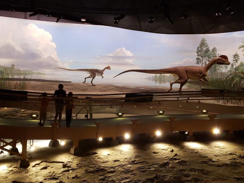 The Dilophosaurus Model and Museum Exhibits The Dilophosaurus Model and Museum Exhibits