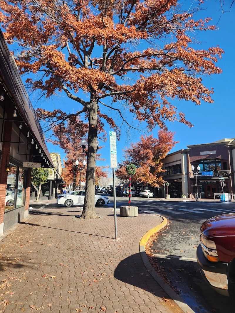 The Downtown Core Where Every Block Feels Like a New Food Discovery