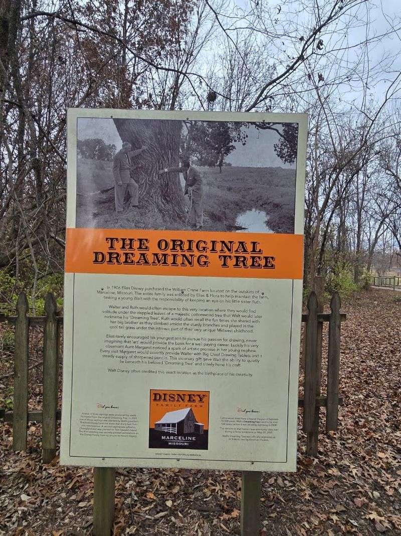 The Dreaming Tree Story Still Lingers
