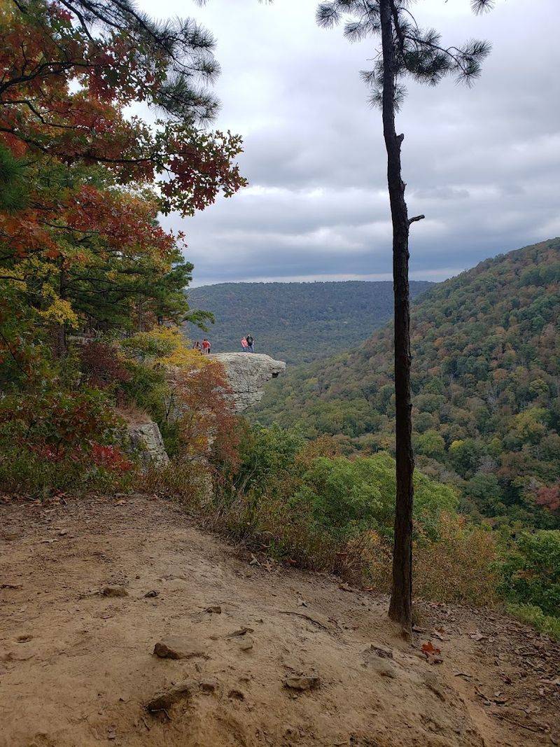 The Drive to the Trailhead: Earning the View Before You Even Start The Drive to the Trailhead: Earning the View Before You Even Start