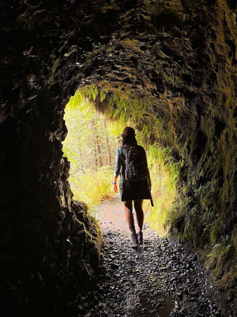 The Eagle Creek Trail, Your Gateway Into the Gorge
