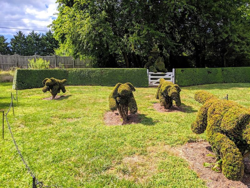 The Enchanting Welcome Beyond the Hedges The Enchanting Welcome Beyond the Hedges