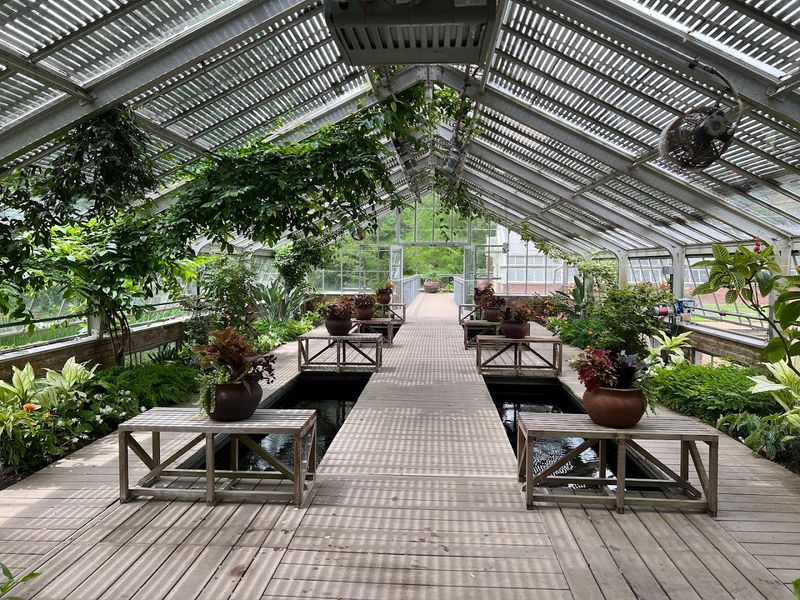The Epiphyte House and Exhibition Greenhouses The Epiphyte House and Exhibition Greenhouses