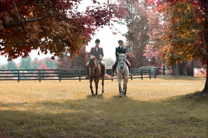 The Equestrian Center Where Horse Country Comes Alive The Equestrian Center Where Horse Country Comes Alive