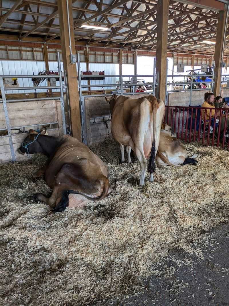 The Farm Credit Dairy Birthing Center