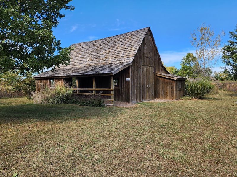 The Farm Dream That Never Quite Happened