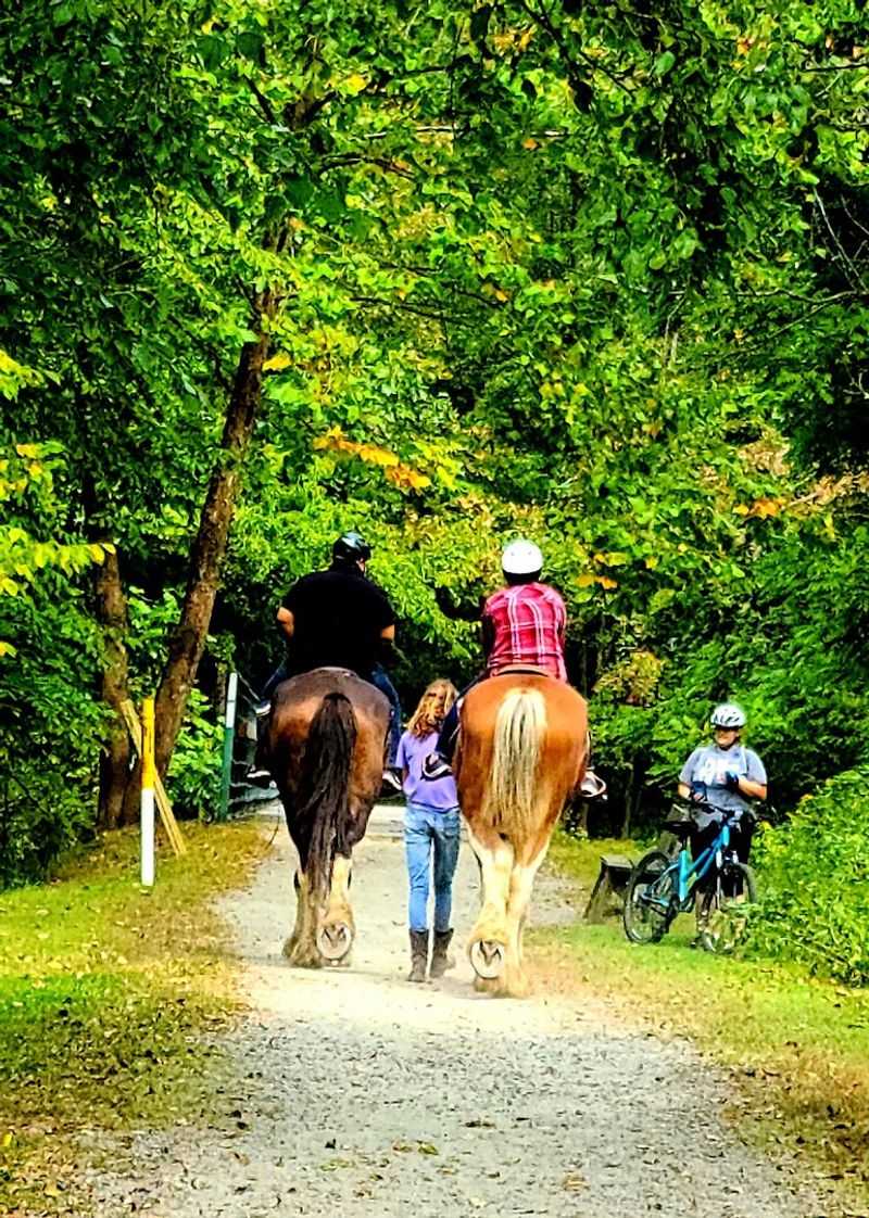 The Farm Setting That Makes Every Visit Feel Special The Farm Setting That Makes Every Visit Feel Special