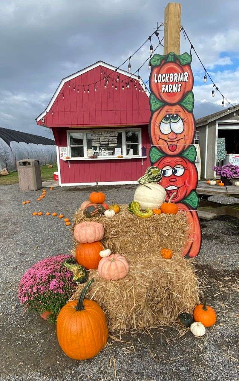 The Farm Stand Experience at Lockbriar Farms