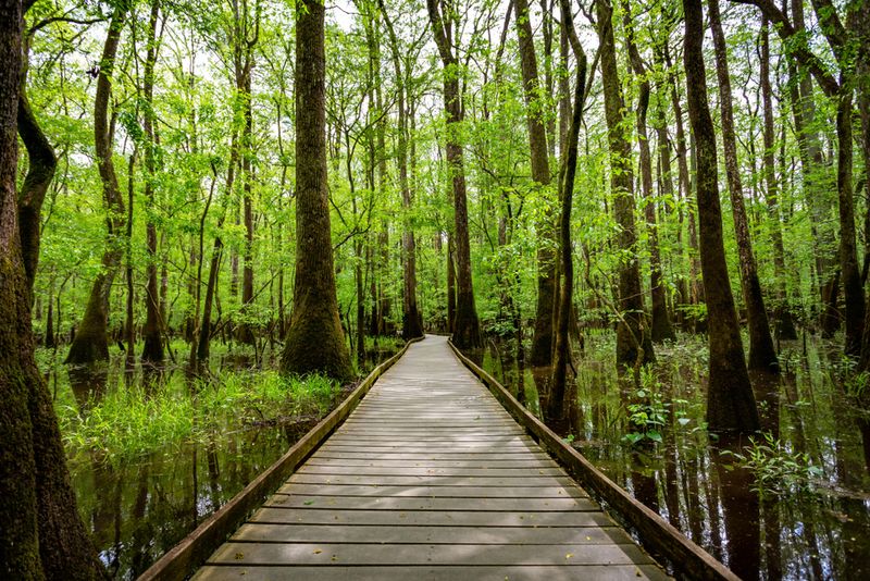 The First Steps Feel Like A Reset The First Steps Feel Like A Reset