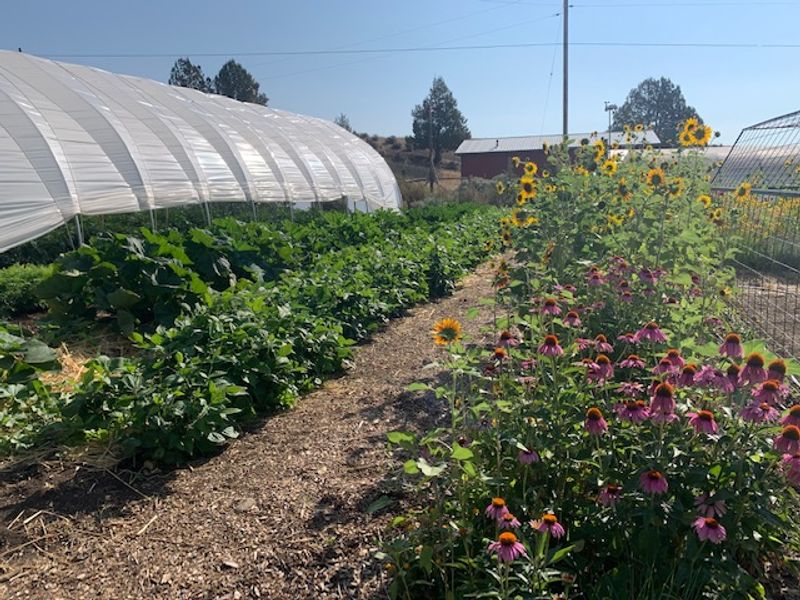 The Flournoy Sturgeon Farm and a Taste of Something Unexpected