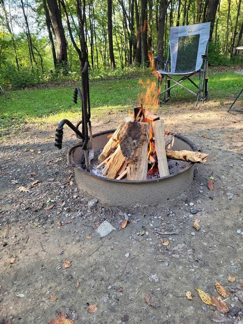 The Forest Setting That Enhances Every Meal