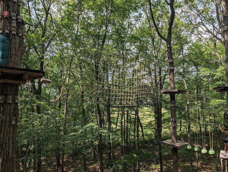 The Forest Setting That Makes Everything Feel Like an Expedition