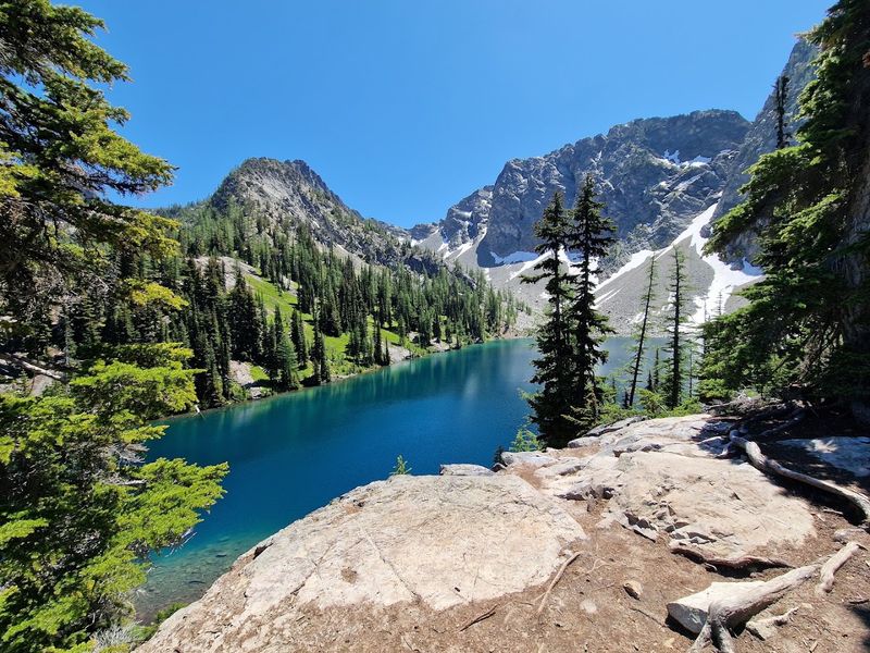 The Forest Surrounding the River Is Its Own Reward The Forest Surrounding the River Is Its Own Reward