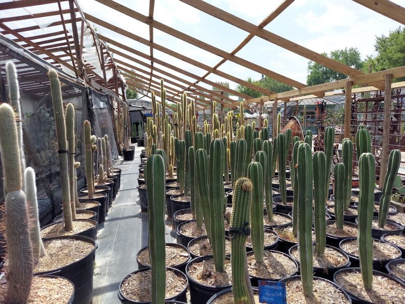 The Founder Who Built a Living Desert Museum