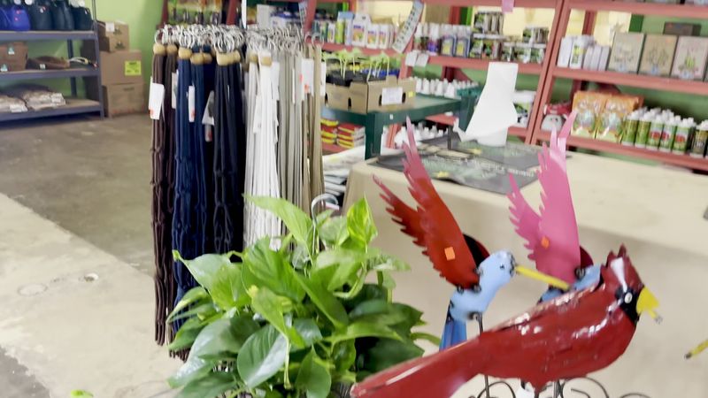 The Garden Center Is Its Own Kind of Adventure The Garden Center Is Its Own Kind of Adventure
