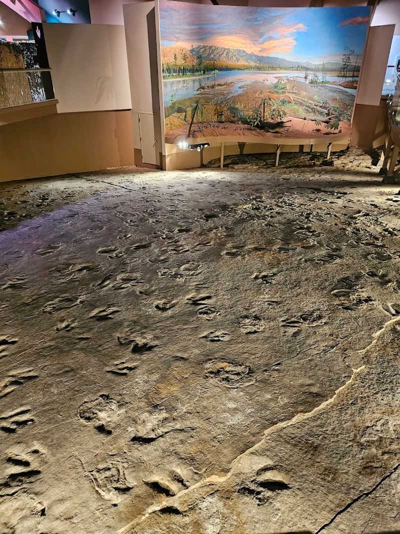 The Geodesic Dome and the Fossil Trackway The Geodesic Dome and the Fossil Trackway