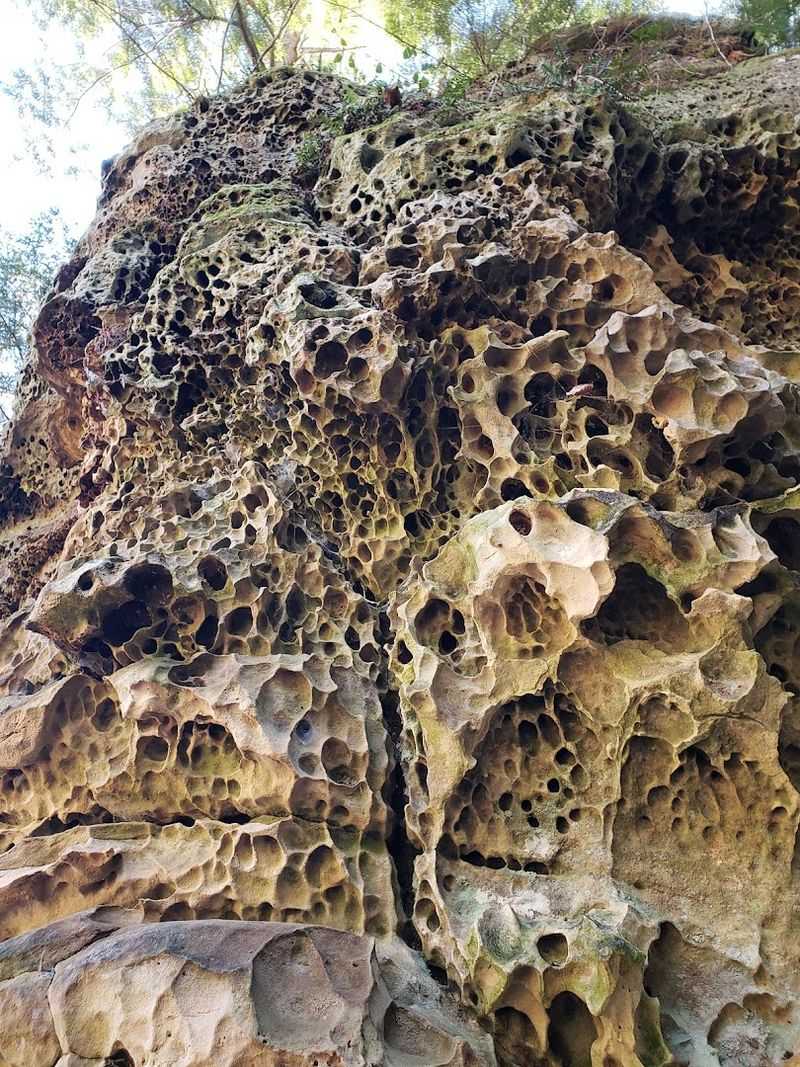 The Geological Wonders Carved Into the Sandstone The Geological Wonders Carved Into the Sandstone