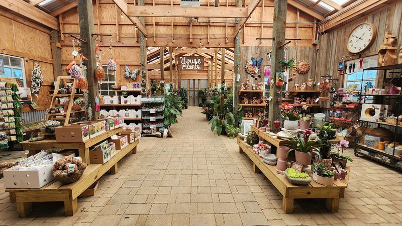The Gift Shop Full of Treasures You Did Not Know You Needed