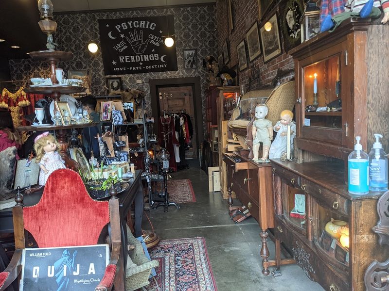 The Gift Shop and Curiosity Store