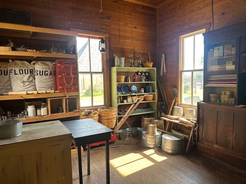 The Gift Shop and What Makes It Worth Browsing The Gift Shop and What Makes It Worth Browsing