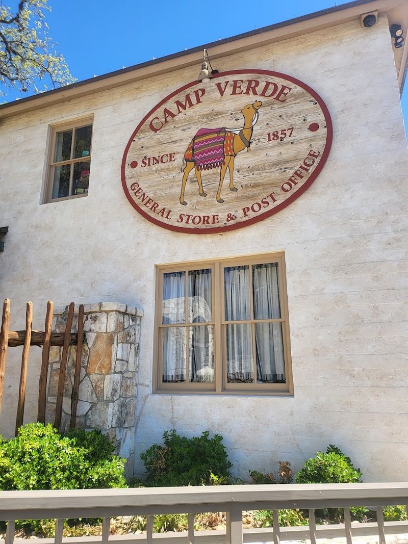 The Great Camel Experiment, A Quirky Chapter in Texas History