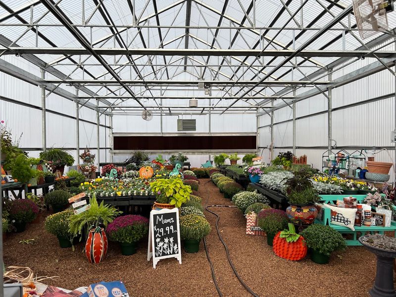 The Greenhouse Walk Itself