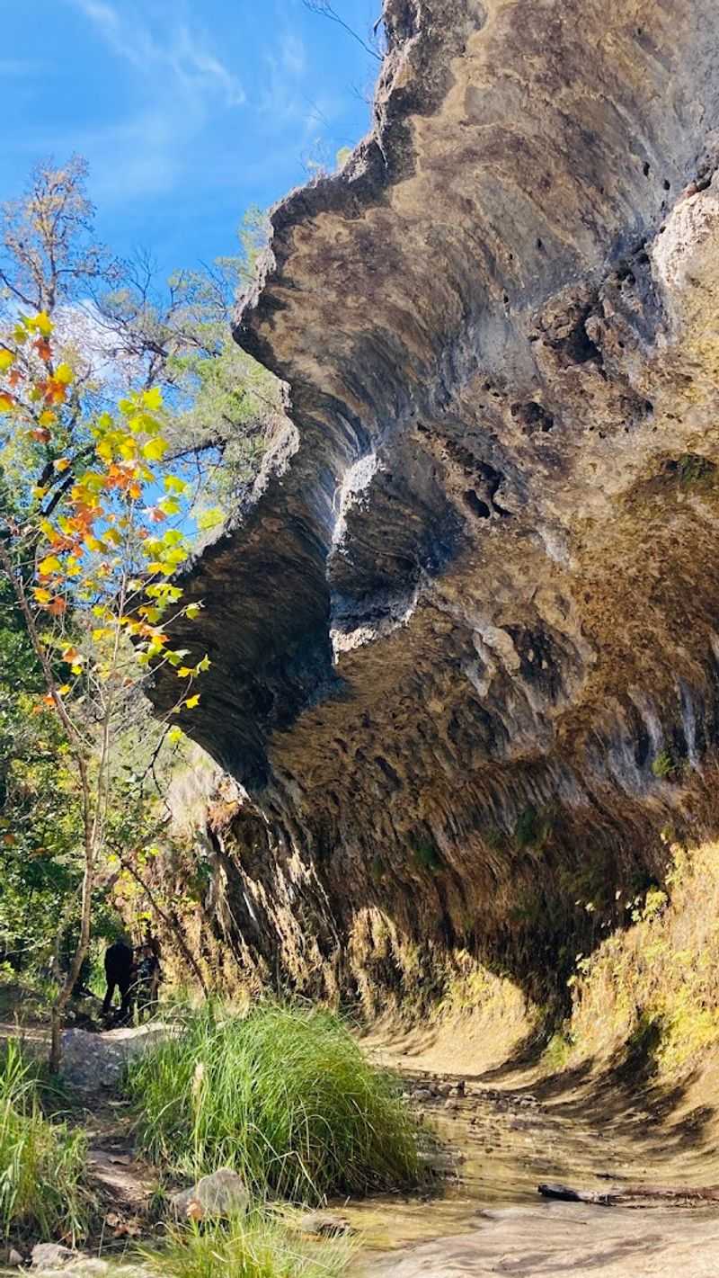 The Grotto, a Hidden Limestone Sanctuary