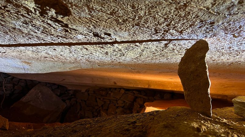 The Guided Tour That Makes Everything Come Alive