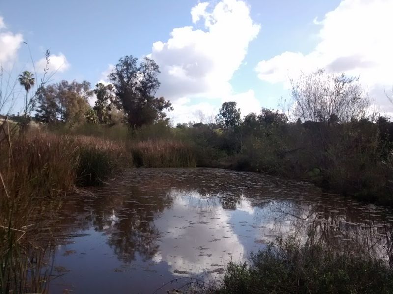 The Habitats Inside the Sanctuary and Why They Matter The Habitats Inside the Sanctuary and Why They Matter