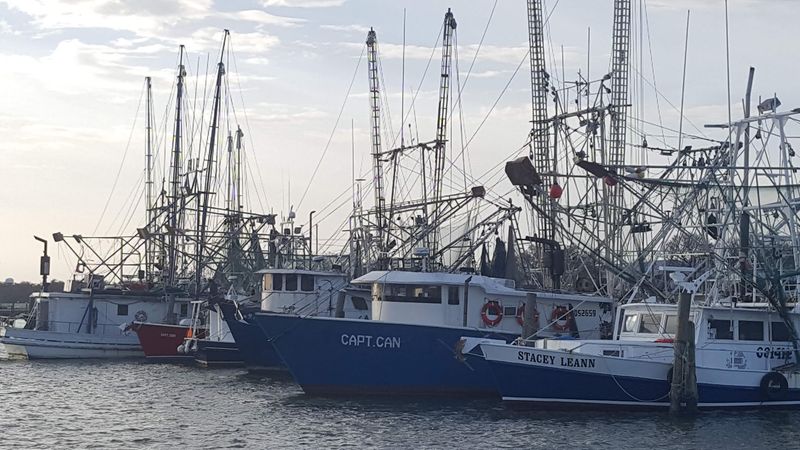 The Harbor That Time Forgot to Ruin The Harbor That Time Forgot to Ruin