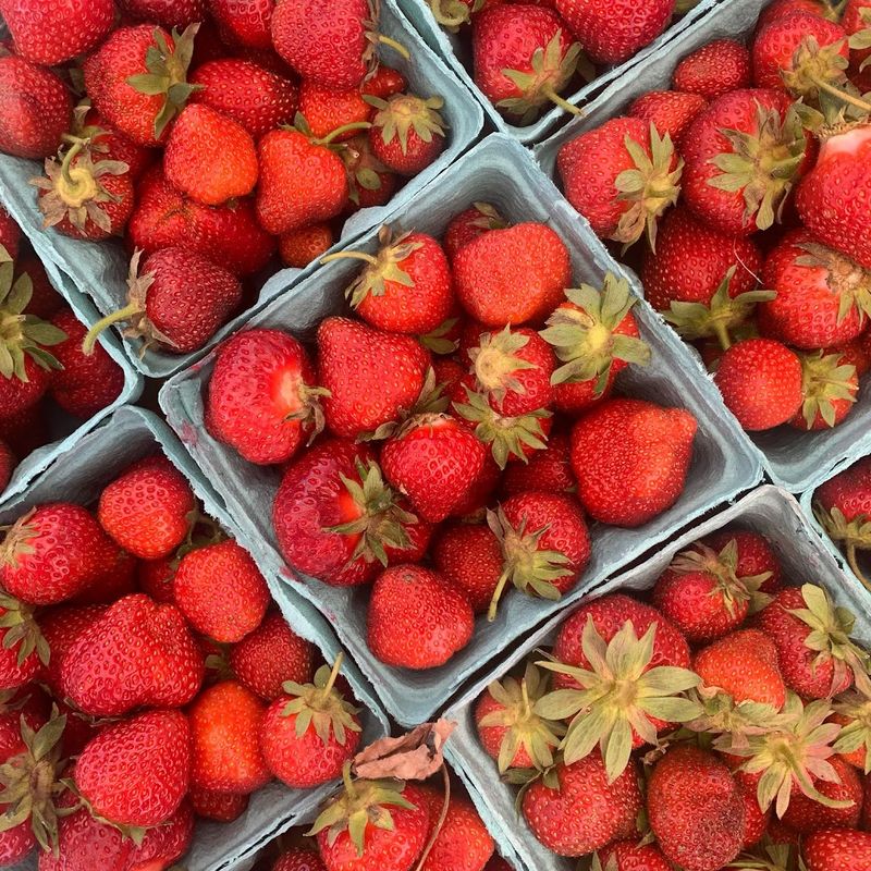 The Harvest Bounty That Changes Every Week