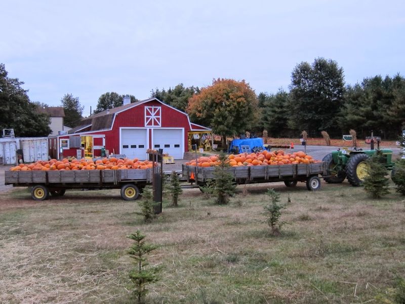 The Hayride, Short, Bumpy, and Completely Worth It