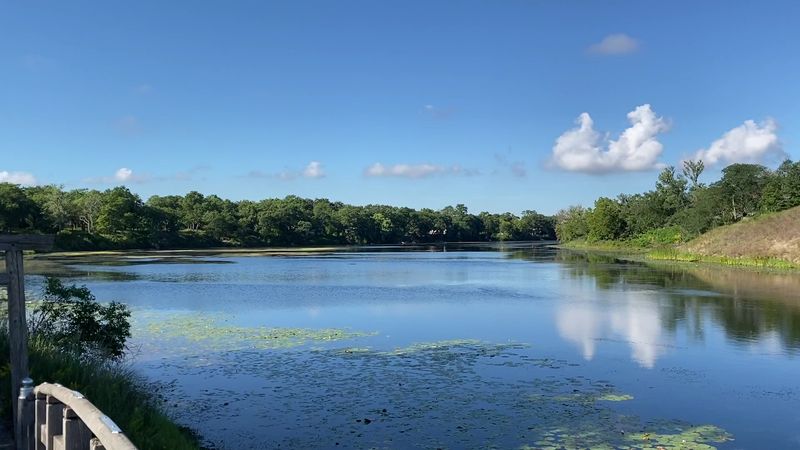 The Hidden Lagoons of Calumet That Feel Like a Secret World The Hidden Lagoons of Calumet That Feel Like a Secret World