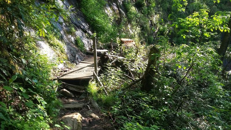 The Hike In: Short, Sweet, and a Little Steep The Hike In: Short, Sweet, and a Little Steep