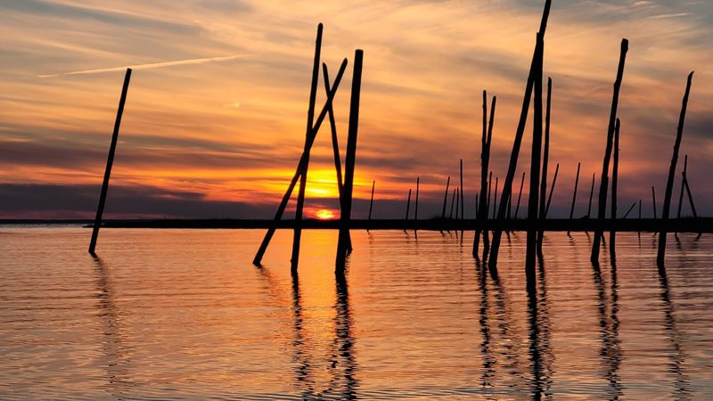 The History Behind Rands Marina