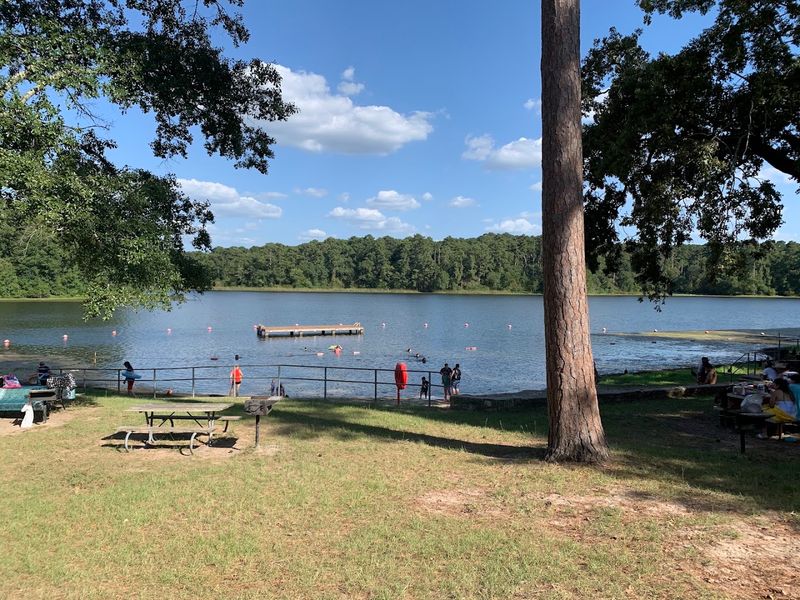The History Woven Into the Park, Civilian Conservation Corps and Sam Houston's Legacy The History Woven Into the Park, Civilian Conservation Corps and Sam Houston's Legacy