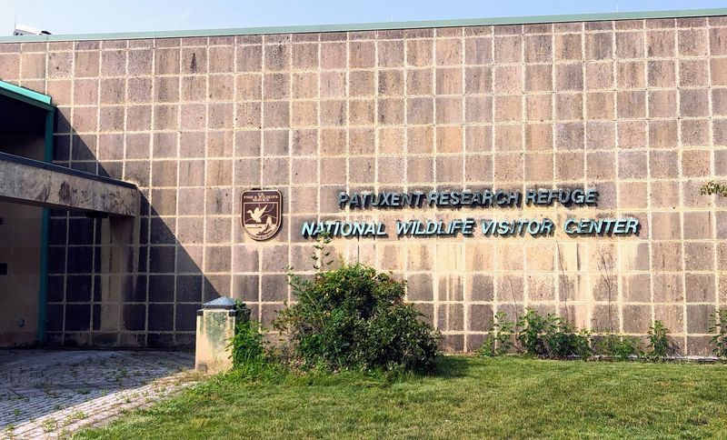The History and Purpose Behind Patuxent Research Refuge