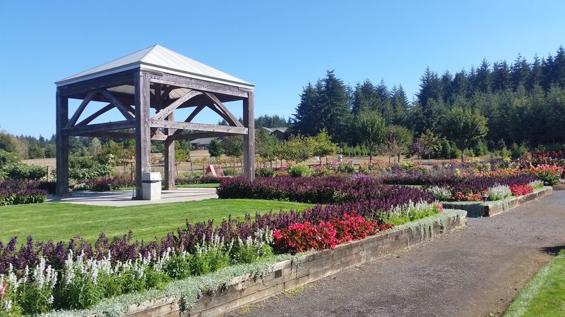 The Horticultural Heart of Silverton: The Oregon Garden