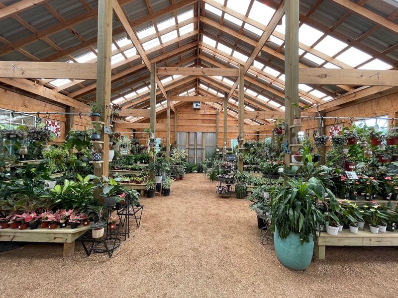 The Indoor Plant Collection That Feels Like a Jungle