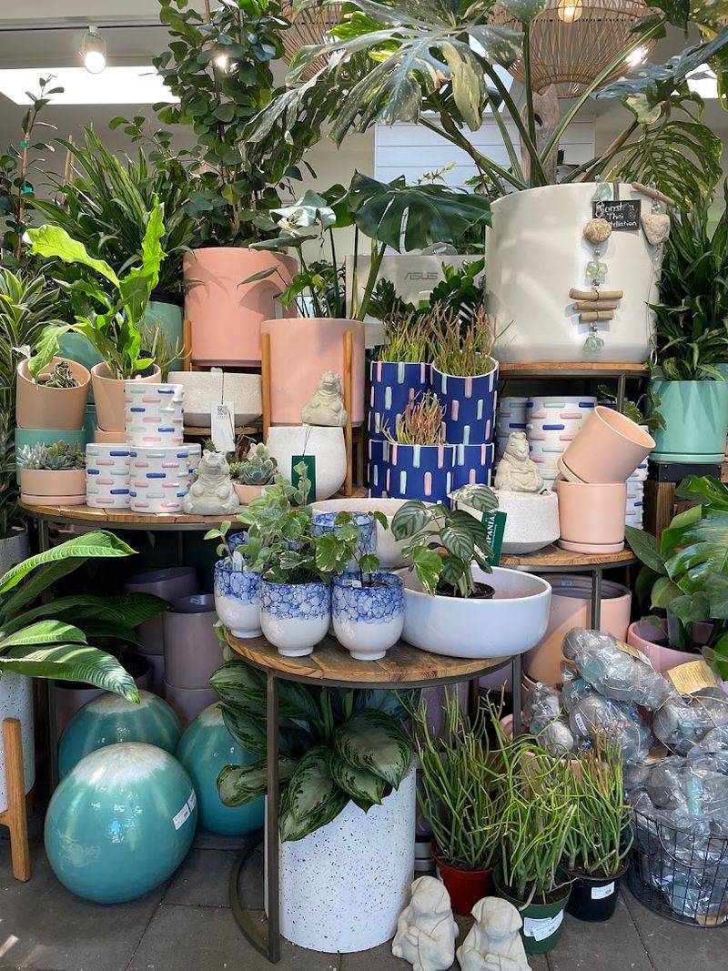 The Indoor Planter Collection Is Worth the Trip Alone The Indoor Planter Collection Is Worth the Trip Alone